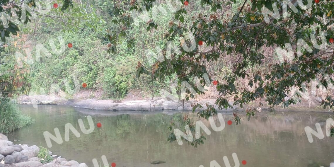 Un menor de origen guatemalteco falleció ahogado