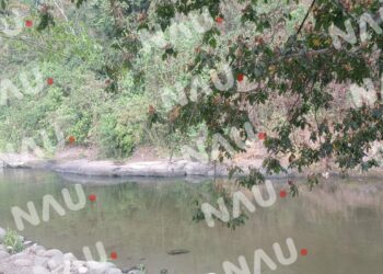 Un menor de origen guatemalteco falleció ahogado