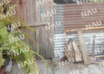 “Vídeo” Vecina de Laureles 2 denunciada por maltrato animal y falta de higiene