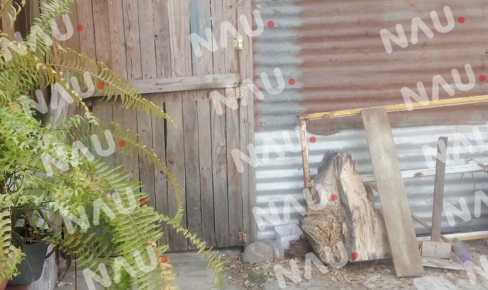 “Vídeo” Vecina de Laureles 2 denunciada por maltrato animal y falta de higiene