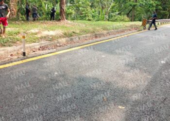 Tragedia en la Carretera: Dos Víctimas Mortales en Accidente de tránsito