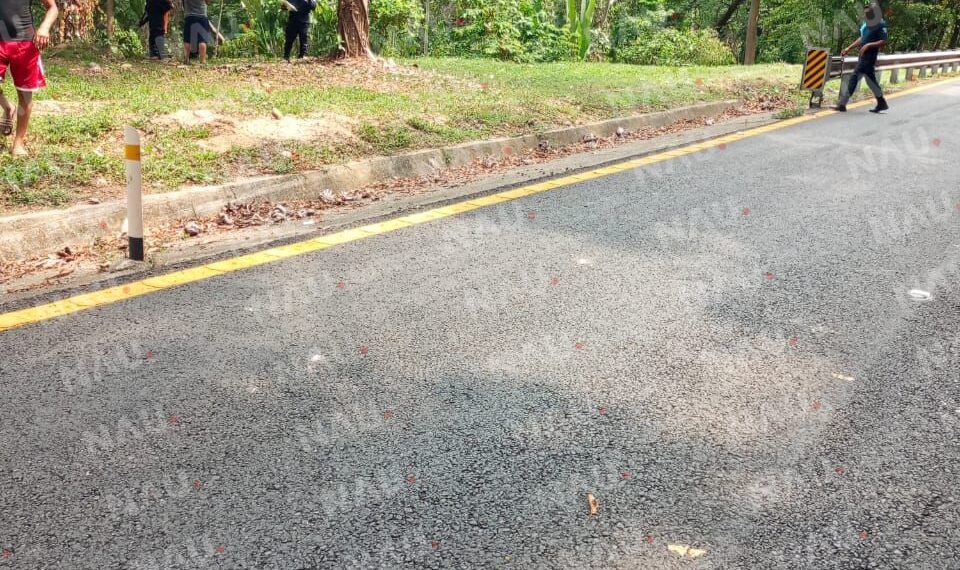 Tragedia en la Carretera: Dos Víctimas Mortales en Accidente de tránsito