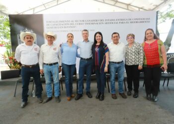En Chiapas, se privilegia la capacitación para potenciar la productividad y el autoempleo