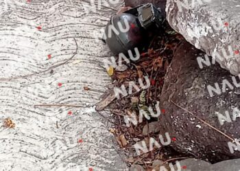 Encuentran Granada de Fragmentación Abandonada en la Banqueta de una Vivienda en Tapachula, Chiapas