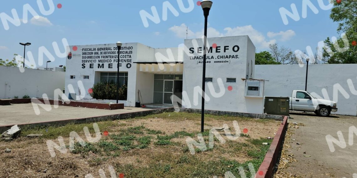 Muere persona atropellada por un vehículo en el libramiento sur poniente