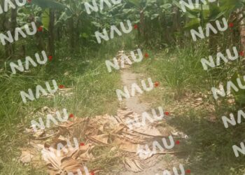 Presunto traficante de drogas torturado y asesinado en Suchiate, Chiapas