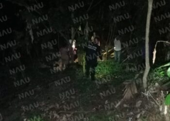 Muere una persona al caerle un árbol