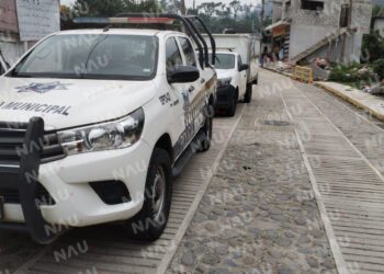 Joven se quita la vida en un sembradío de café en la zona alta de Tapachula