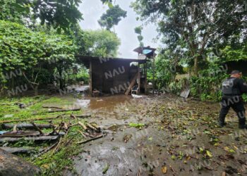 Tres heridos deja un ataque armado en Cacahoatán