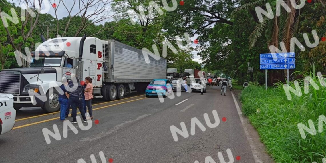 Cae árbol encima de un camión de personal en la carretera Tapachula – Puerto Madero