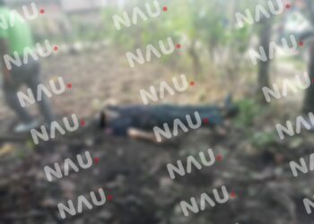 Cortaba aguacates y tocó un cable de alta tensión