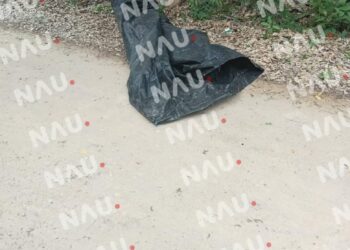 Cuerpo Embolsado Encontrado en Carretera de Suchiate, Chiapas