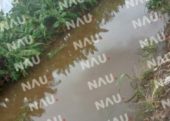 Hallazgo de cadáver en ejido La Libertad, Suchiate