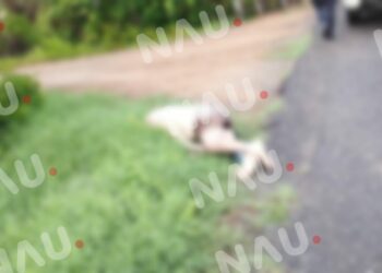 Hallazgo de cadáver en el municipio de Suchiate, Chiapas