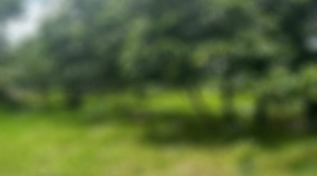 Hallan cuerpo de una persona en el rio Huehuetán