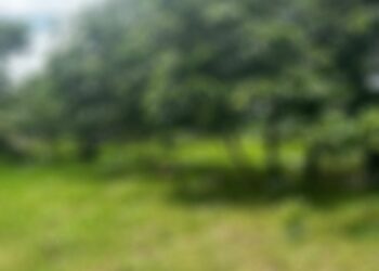 Hallan cuerpo de una persona en el rio Huehuetán