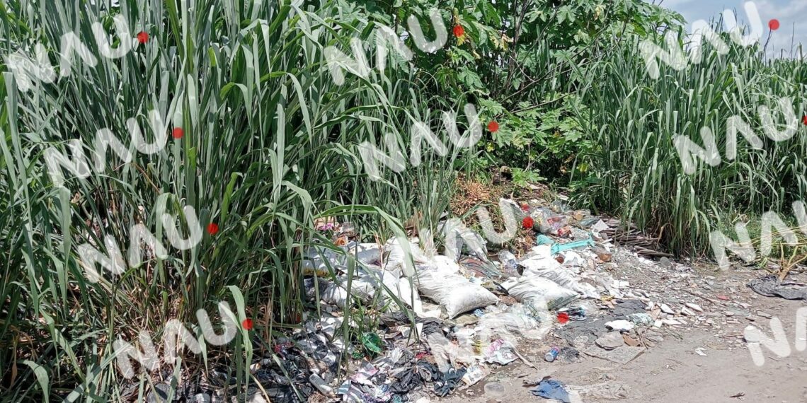 Habitantes de la Colonia La Gloria Denuncian Basurero Improvisado en Antiguo Edificio de Gasolinera