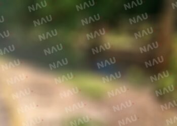 Accidente de Tránsito en Mapastepec Chiapas: Un Hombre Fallece