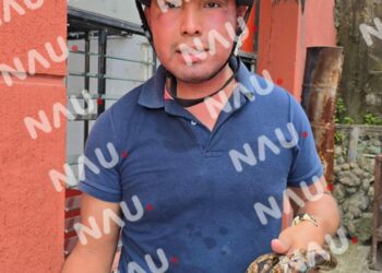 Bomberos de Tapachula liberan dos serpientes boa constrictor