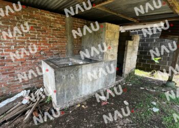 Hallan cadáver en avanzado estado de descomposición en Carrillo puerto