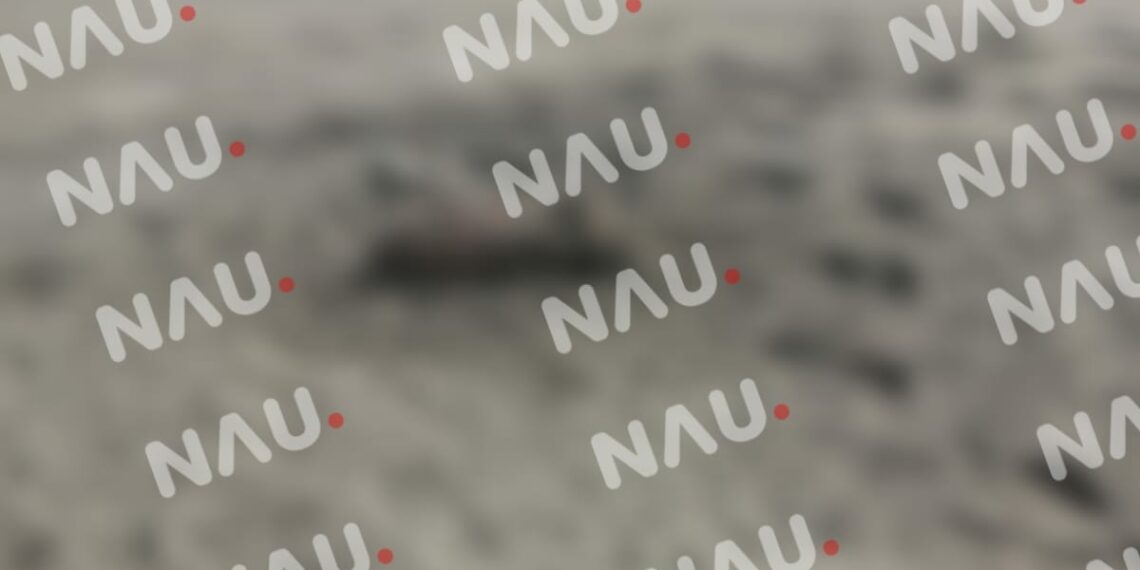 Macabro Hallazgo en Suchiate: Encuentran Torso Humano en Comunidad El Gancho