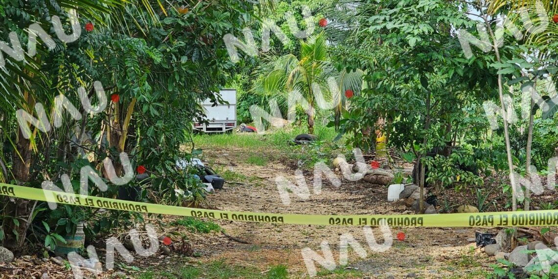 Macabro Hallazgo en Tapachula: Cuerpo Decapitado y Embolsado en la Colonia Xochimilco