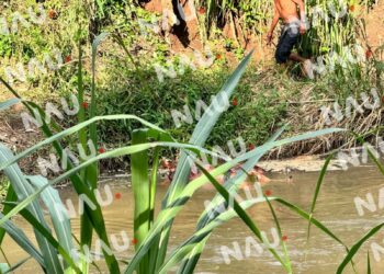 Persona Ahogada fue Encontrada en Avanzado Estado de Descomposición en un río en Álvaro Obregón