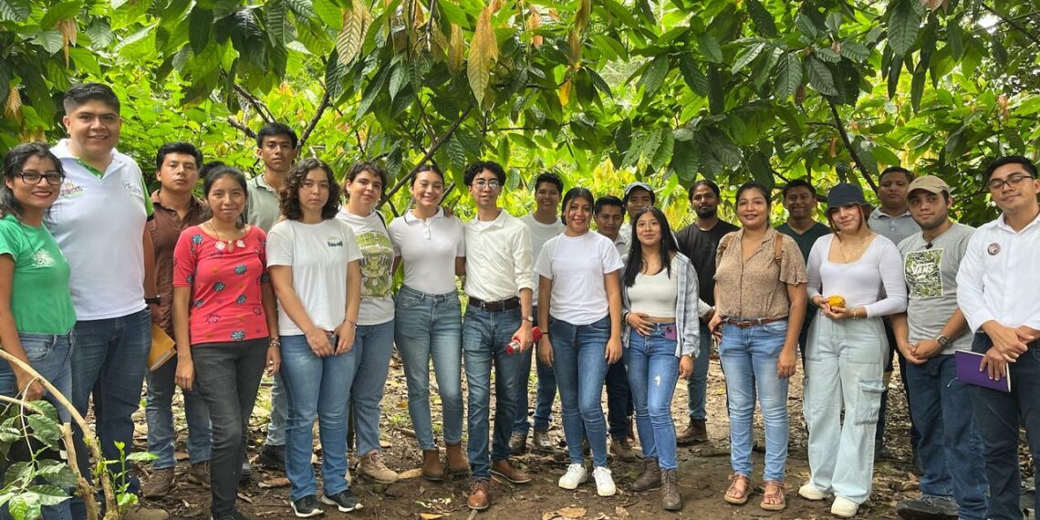 CASFA: Alianzas Estratégica para el Desarrollo Sostenible y la Agroecología en Chiapas