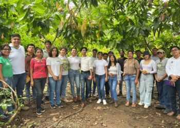 CASFA: Alianzas Estratégica para el Desarrollo Sostenible y la Agroecología en Chiapas