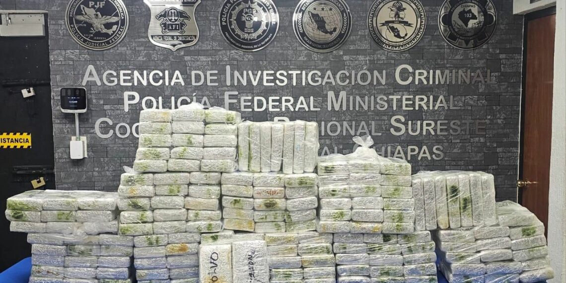 EN CATEO FGR ASEGURA 204 PAQUETES DE NARCÓTICO Y DETIENE A UNA PERSONA EN CHIAPAS