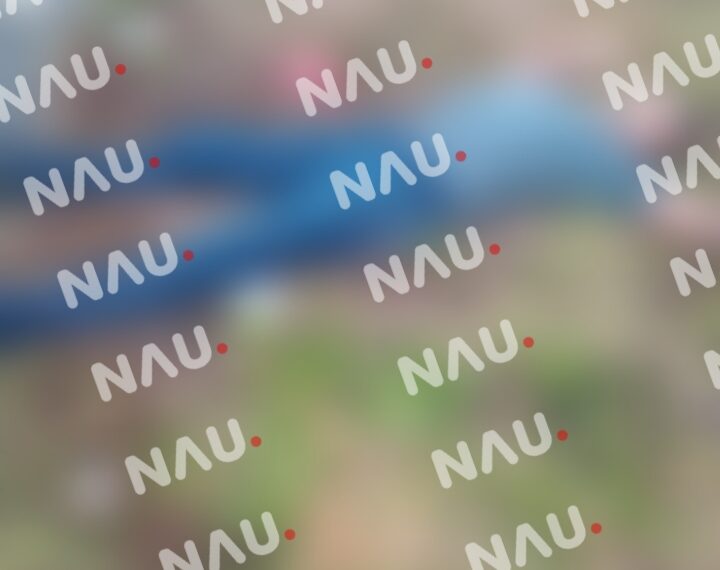 Encuentran cuerpo de un joven con impactos de bala en  Pijijiapan