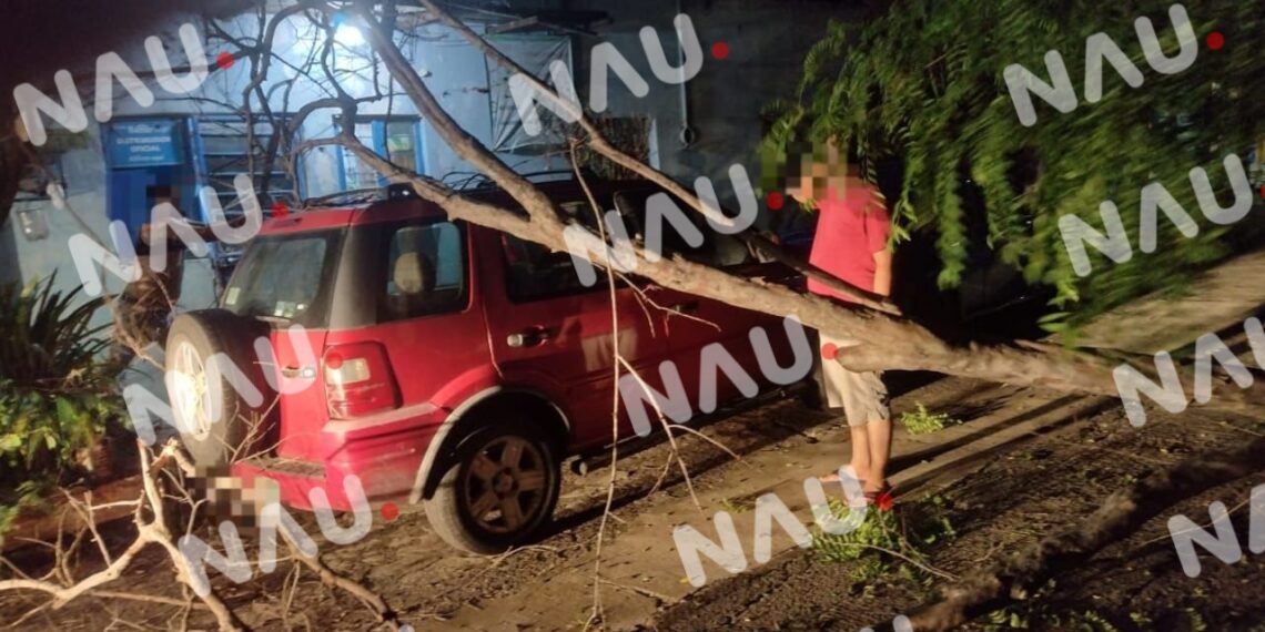 Árbol cae sobre un vehículo en Tapachula