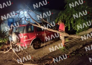 Árbol cae sobre un vehículo en Tapachula