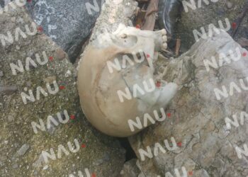 Hallan de Restos Humanos en Tuzantán