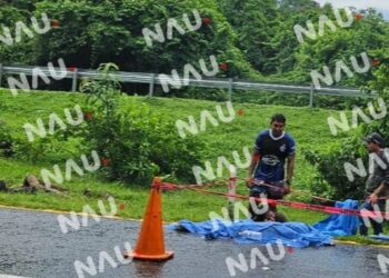 Niña migrante peruana fallece atropellada en carretera Pijijiapan – Mapastepec