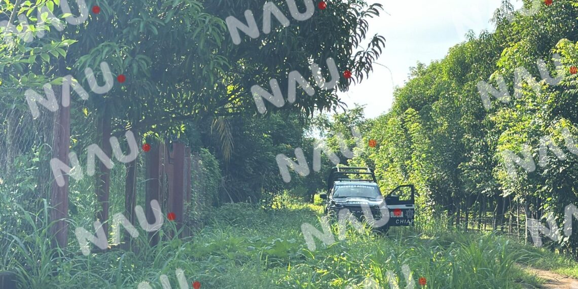 Localizan a hombre de la tercera edad sin vida en ejido Álvaro Obregón, Tapachula