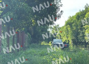 Localizan a hombre de la tercera edad sin vida en ejido Álvaro Obregón, Tapachula