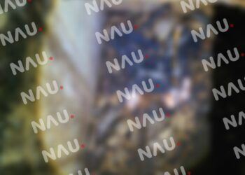 Hallan osamenta en tanque de agua en Cacahoatán