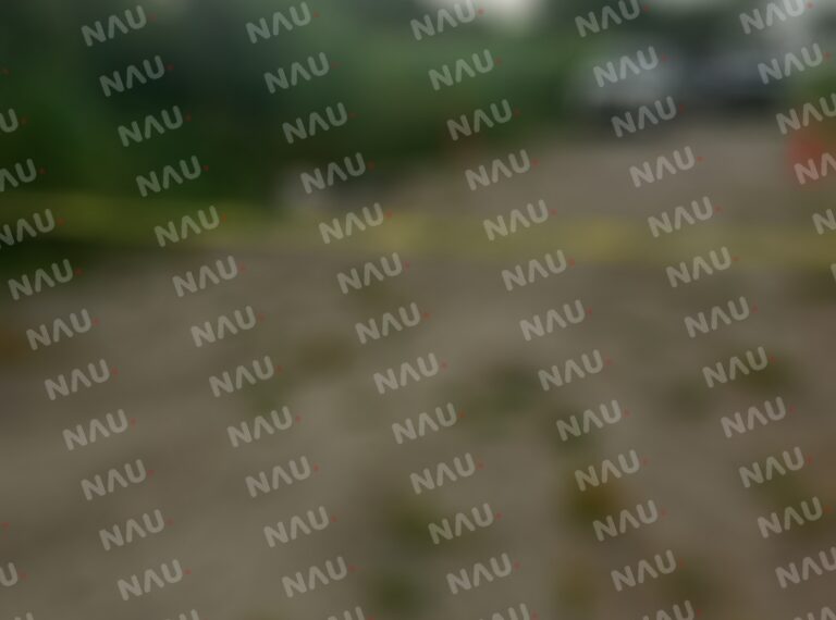 Asesinan a una persona en la Ranchería Tres Hermanos en Suchiate