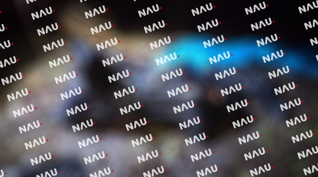 Hallan Cuerpo Embolsado en Tapachula