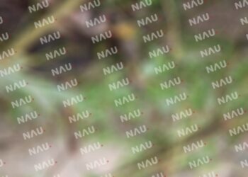 Tragedia en Mapastepec: Menor fallece tras ser arrastrado por corriente