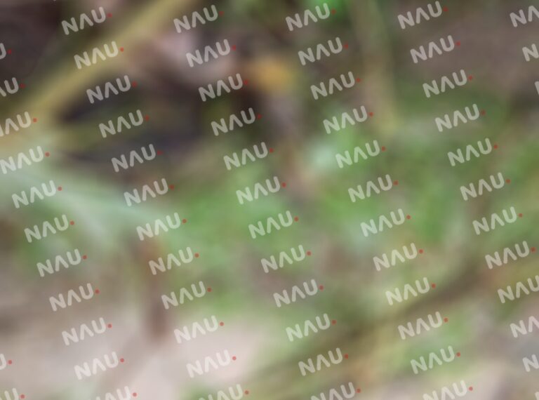 Tragedia en Mapastepec: Menor fallece tras ser arrastrado por corriente