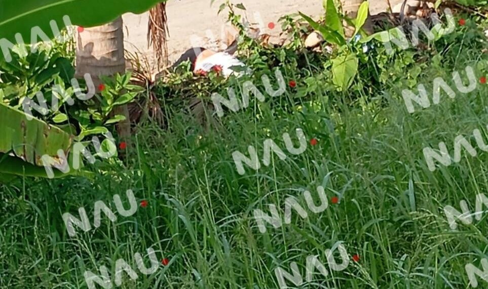 Hallan a joven asesinado en Suchiate, Chiapas