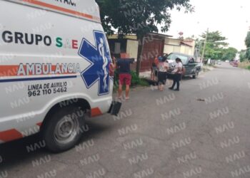 Ataque de perro deja a un menor herido en la colonia El Vergel, Tapachula