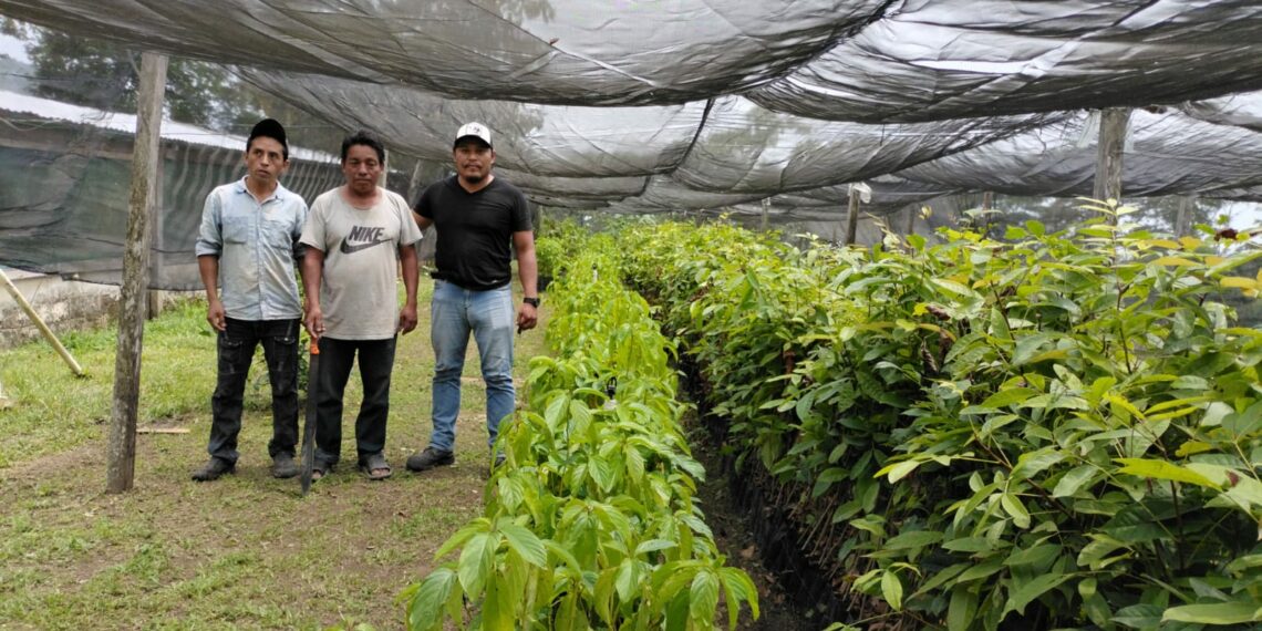 PROGRAMA SEMBRANDO VIDA SE CONSOLIDA CON ELEVACIÓN A RANGO CONSTITUCIONAL