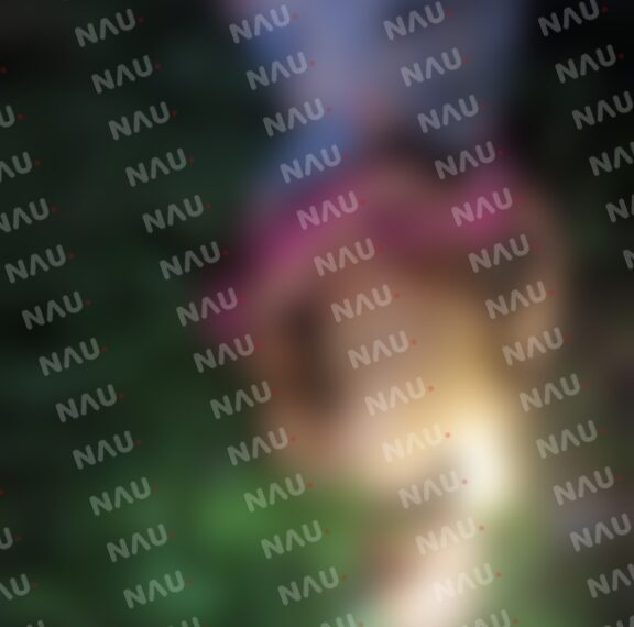 Asesinan a machetazos a guatemalteco en Tapachula