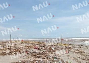 Encuentran osamenta en Suchiate: autoridades inician investigación