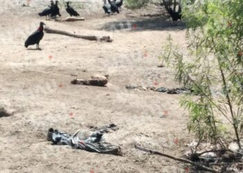 Localizan restos humanos en Huehuetán