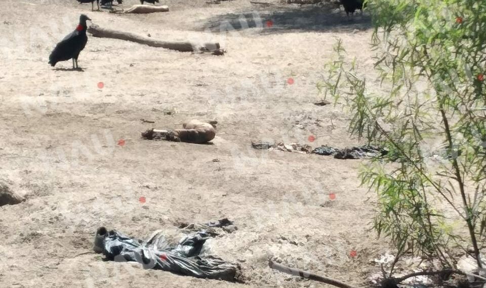 Localizan restos humanos en Huehuetán