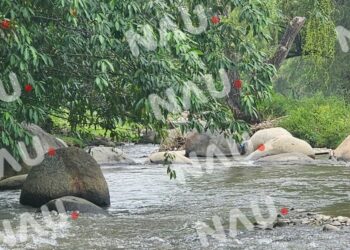 “Vídeo” T0rturad0 y amarrad0, localizan en el cuerpo de una persona en Tapachula